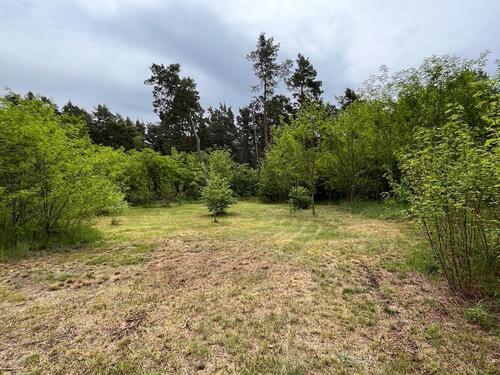 Foto - Natur pur - Freizeitgrundstücke mit altem Haus, nahe Berlin