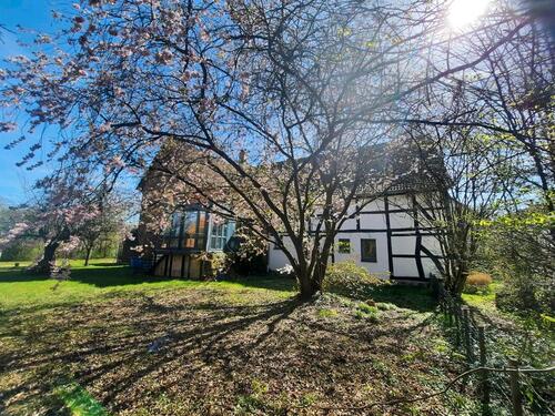 Foto - Grosses, interessantes Haus in Coppenbrügge Diedersen