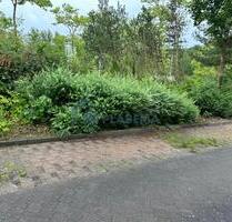 Stellplatz in der Platanenstraße zu vermieten - Neubrandenburg