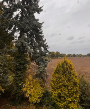 Foto - Einfamilienhaus in Nienburg (Weser)