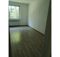 1 Raumwohnung mit Garten nahe Neubrandenburg - Stavenhagen - Rosenow