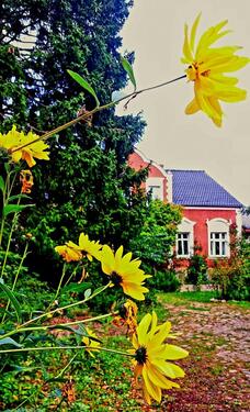 Foto - 7 Zimmer Einfamilienhaus zum Kaufen in Karstädt