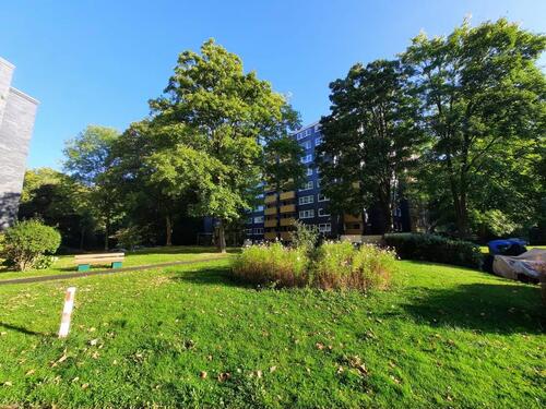 Foto - 3 Zimmer Etagenwohnung zur Miete in Hagen