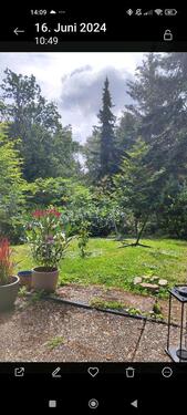 Foto - 2 Zimmer Einfamilienhaus zum Kaufen in Bad Kreuznach