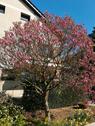 Foto - 4 ZKB Balkon 85qm² - 169.000,00 EUR Kaufpreis,