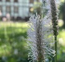 Ferienwohnung bis 10 Pers., Herbstferien 2026, Escape Game, Feha - Hofgeismar