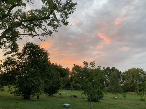 Foto - NICHT AMELSBÜREN; MÜNSTER !! Wohnen im Grünen und doch zentral- 190 qm 1.OG 3 Schlafzimmer Balkon