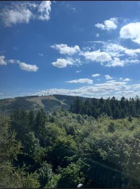 Foto - 4 Zimmer Etagenwohnung zum Kaufen in Goslar