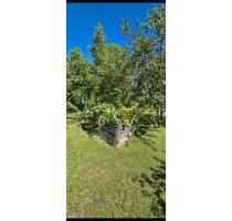 garten in Neuruppin - 50,00 EUR Kaltmiete, ca.  0,00 m² in Neuruppin (PLZ: 16816)