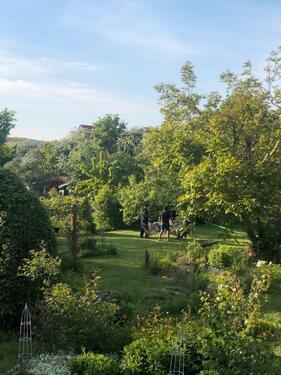 Foto - Etagenwohnung in Hameln zur Miete