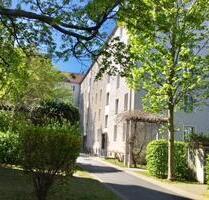 3 Raumwohnung in familienfreundlicher Wohnanlage - der Vormieter bietet Einbauküche zum Kauf an - Dresden Blasewitz