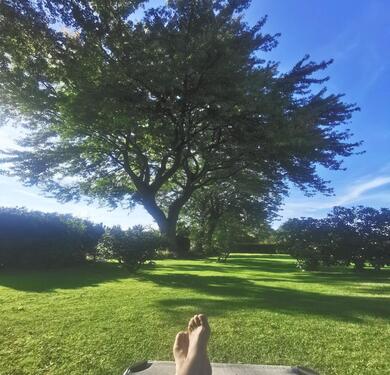 Foto - andere zur Miete in Dornum