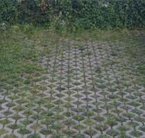 PKW STELLPLATZ zu vermieten ab SOFORT! - Dresden Prohlis