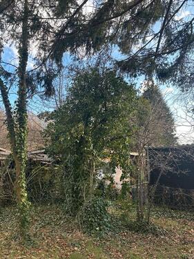 Foto - Grundst&uuml;ck zur Miete in Bad Segeberg