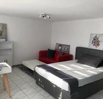 1Zi.-Apartmentwohnung mit TerrasseStellplatz nahe LörrachBasel - Binzen