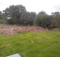 1 Stellplatz für Pkw, Wohnwagen oder Womo - Gettorf