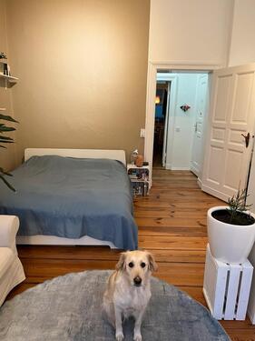 Foto - 2 Zimmer Etagenwohnung in Potsdam