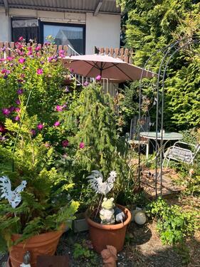 Foto - Einfamilienhaus in Bad Schussenried zum Kaufen