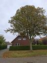Foto - Schönes Einfamilienhaus in Pewsum zu vermieten