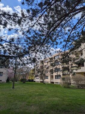 Foto - 3 Zimmer Erdgeschoßwohnung in Ronnenberg