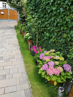 Foto - Einfamilienhaus in Haldensleben zum Kaufen