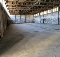 Halle zu vermieten - 1.000,00&nbsp;EUR Kaltmiete, ca.&nbsp; 1,25&nbsp;m&sup2; in Forst (Lausitz) (PLZ: 03149)