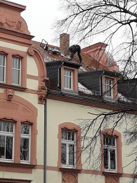 Foto - Wohn- und Geschäftshaus von 1904, Altstadt, Nähe Marktplatz