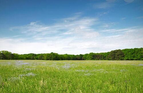 Foto - Ackerland Wiese - 5,00 EUR Kaltmiete, ca.  0,00 m²