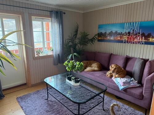 Foto - 10 Zimmer Einfamilienhaus in Braunschweig