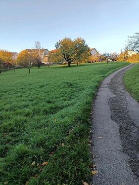 Foto - Idyllische Streuobstwiese in Esslingen-Krumenacker zur Pacht