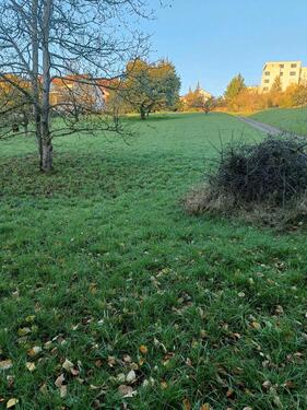 Foto - Grundst&uuml;ck zur Miete in Esslingen am Neckar