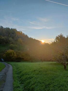 Foto - Grundst&uuml;ck in Esslingen am Neckar