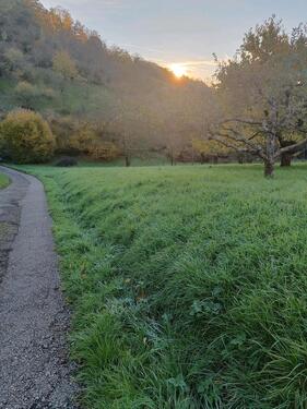 Foto - Grundst&uuml;ck in Esslingen am Neckar zur Miete