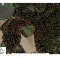 Waldgrundstück Ausgleichsfläche Kapitalanlage Freizeitfläche - Niederwinkling