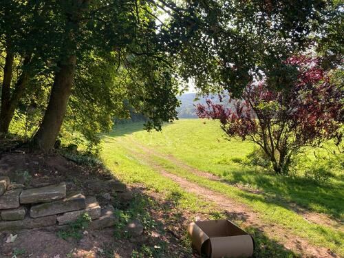 Foto - 2 Zimmer Etagenwohnung zur Miete in Bad Hersfeld