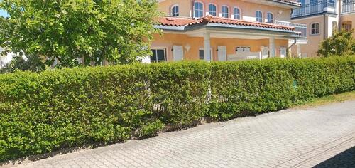 Foto - Ferienwohnung in Kühlungsborn 150 m zum Strand auch Ostern 2026