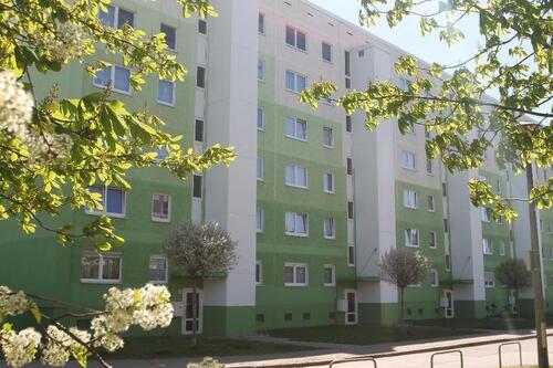 Foto - andere in Bernburg (Saale)