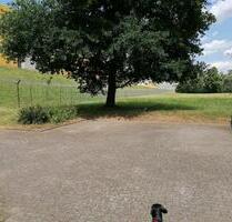 Stellplatz - 40,00 EUR Miete, in Billigheim (PLZ: 74842)
