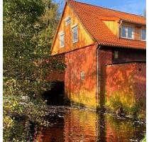 Tolle Ferienwohnung in alter Wassermühle, Naturpark Südheide - Eschede Habighorst