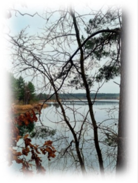 Foto - Helle, freundliche 3 Raumwohnung im Top Zustand zu vermieten