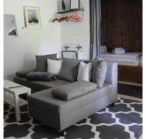 Möbliertes Apartment – 48 m², Parkplatz, sofort bezugsbereit - Philippsreut