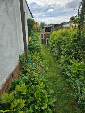 Foto - Grundstück in Magdeburg zur Miete