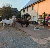 Ferienwohnung, Urlaub mit Hund eigenem Pferd im Sauerland - Medebach
