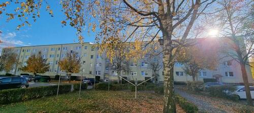 Foto - 2-Zimmer-Wohnung in Pasewalk am Volkskulturpark