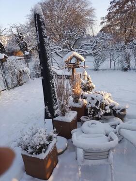 Foto - Kleiner Bungalow zu verkaufen - 275.000,00&nbsp;EUR Kaufpreis, ca.&nbsp; 75,00&nbsp;m&sup2;