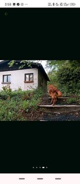 Foto - 1 Zimmer Einfamilienhaus zum Kaufen in Vöhl