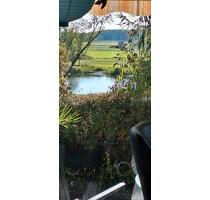 Wochenendbungalow mit direktem Havelblick in einem Naturparadies - Milower Land