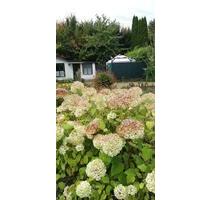 Pachtgarten Kleingärtnerverein Olvenstedter Scheid 39130 - Magdeburg Alt Olvenstedt