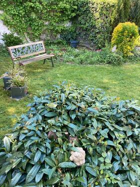 Foto - EG 80 qm 3ZKDB Gäste WC Garten und Garage in Odenkirchen