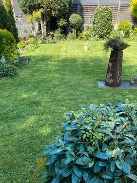 Foto - 3 Zimmer Erdgeschoßwohnung zur Miete in Mönchengladbach